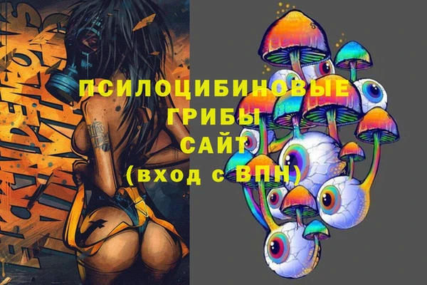 ешки Бугульма